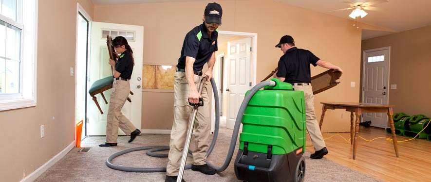 Orland Park, IL cleaning services